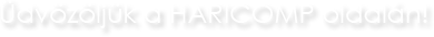 kép